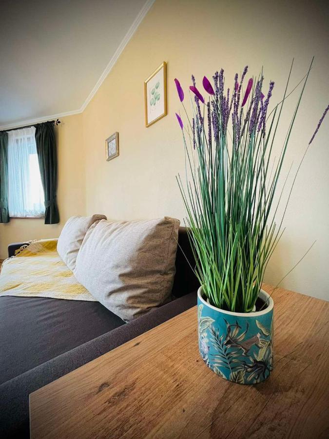 The Green Guest House Of Veliko Tarnovo-Amazing View, Top Location Kültér fotó